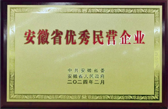 Awarded Excellent Private Enterprise of Anhui Province